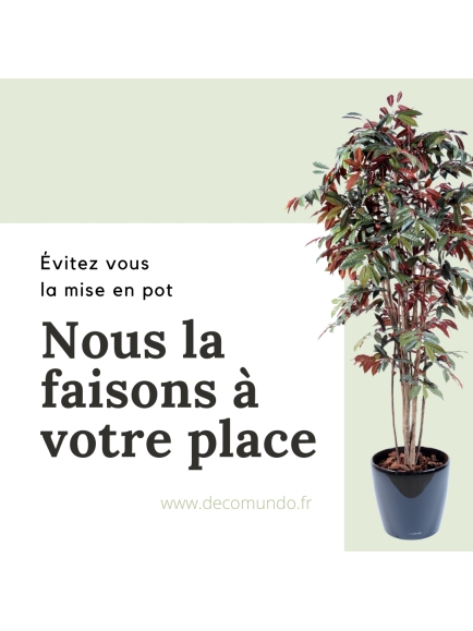 Capensia artificiel en POT ROND 170 CM