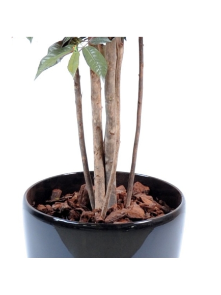 Capensia artificiel en POT ROND 170 CM