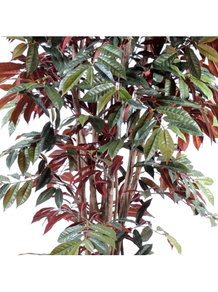 Capensia artificiel en POT ROND 170 CM