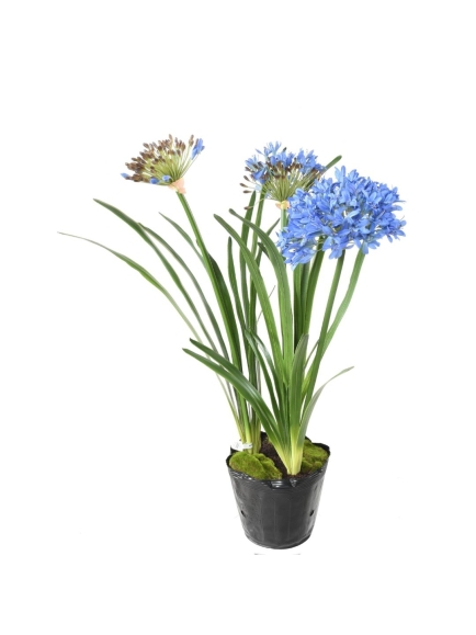 Agapanthe artificielle en motte