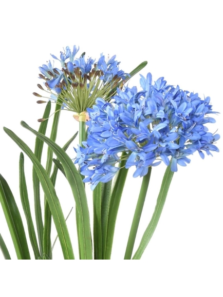 Agapanthe artificielle en motte