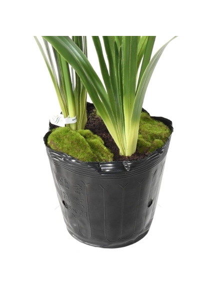Agapanthe artificielle en motte