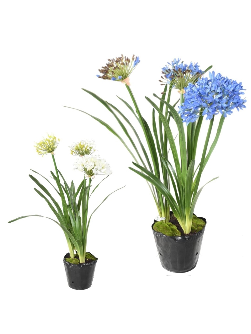 Agapanthe artificielle en motte