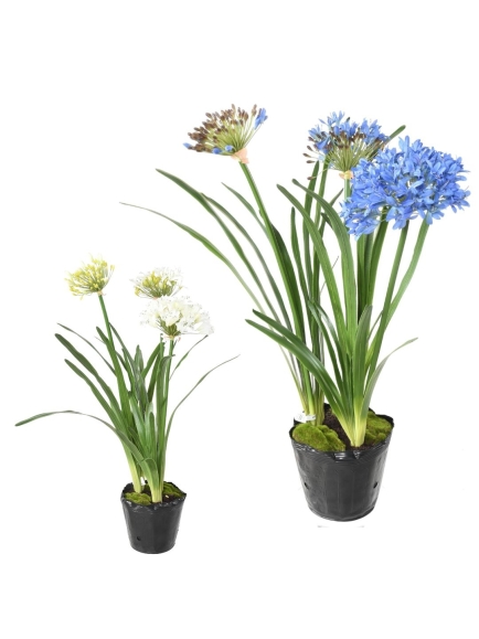 Agapanthe artificielle en motte