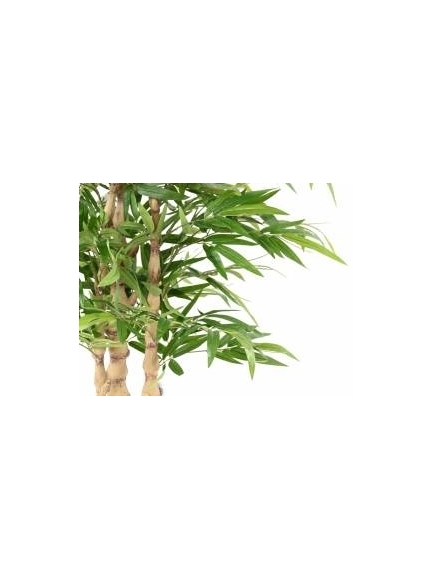 BAMBOU ARTIFICIEL BOUDDHA