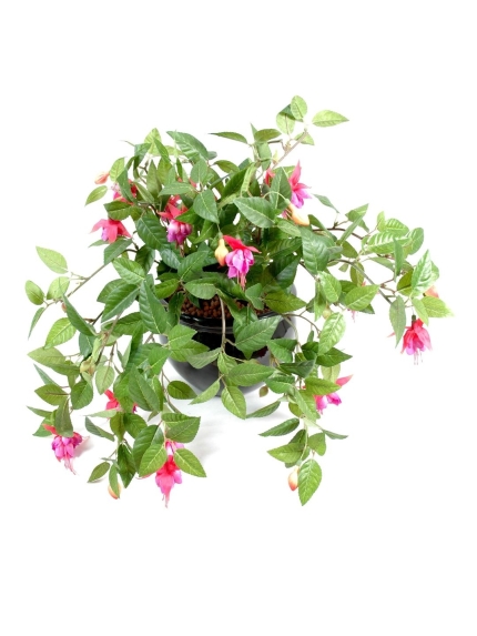 Chutes de fuchsia artificielles