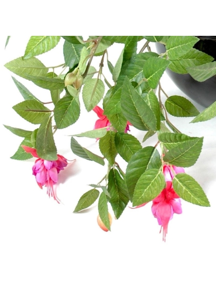 Chutes de fuchsia artificielles