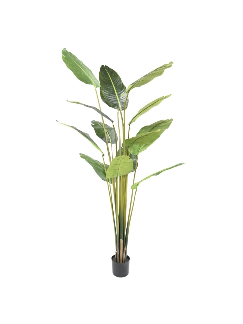 Palmier artificiel Travellers Tree