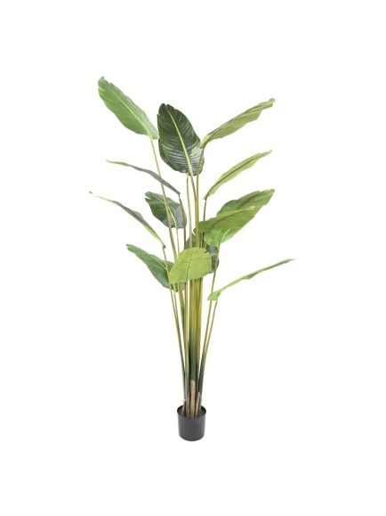 Palmier artificiel Travellers Tree