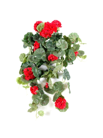 Géraniums artificiels - Par 6 - chute 30 cm