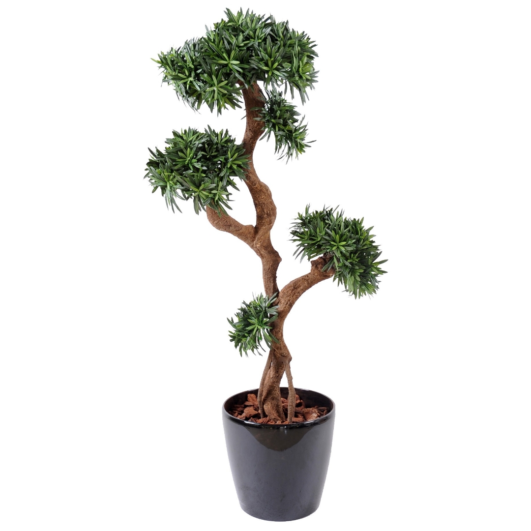 Podocarpus artificiel tree