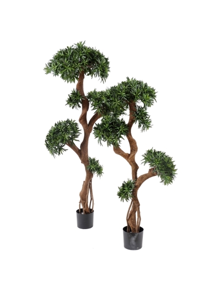 Podocarpus artificiel tree