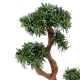 Podocarpus artificiel tree