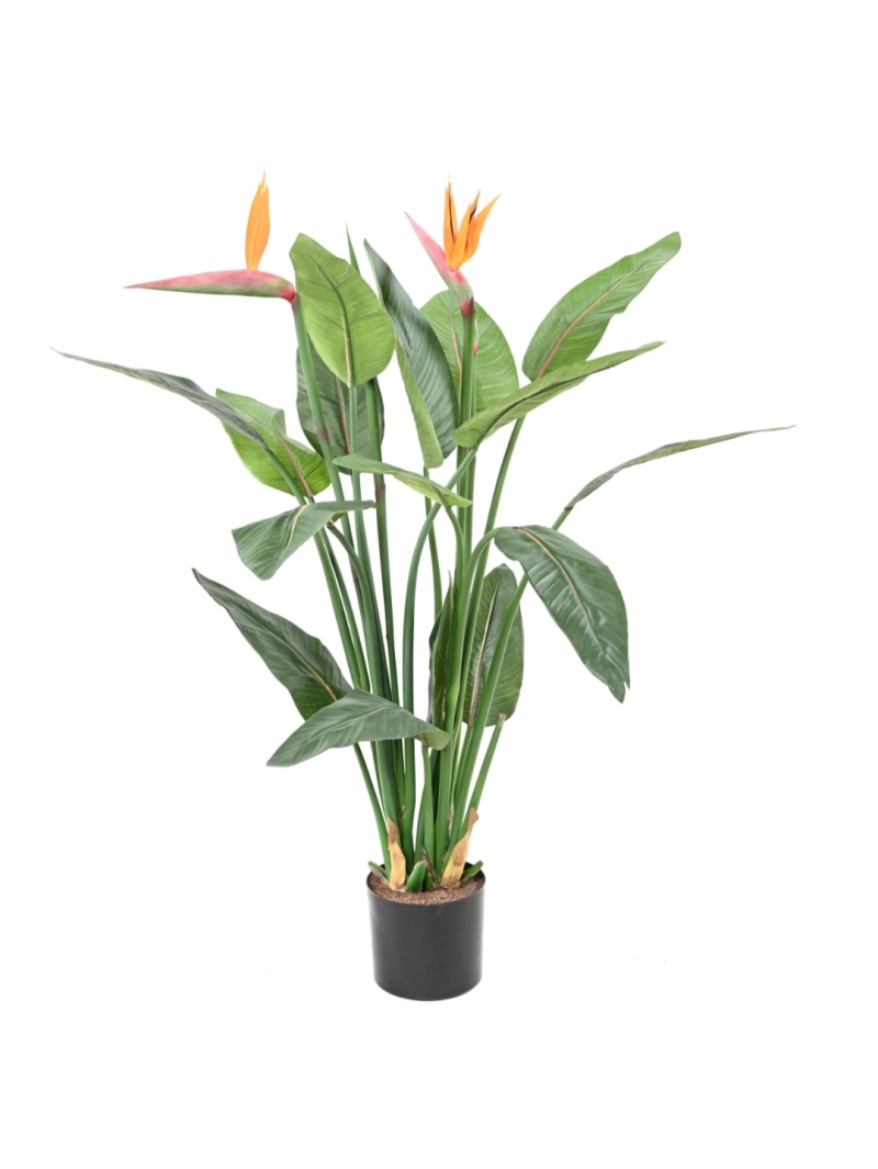 Plante artificielle Strelitzia
