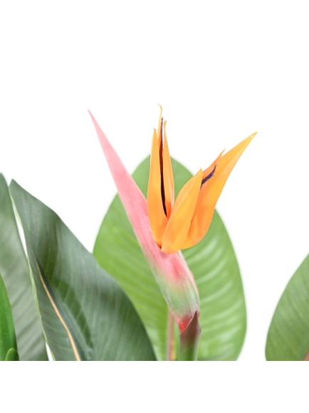 Plante artificielle Strelitzia