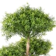 Eucalyptus arbre artificiel tree