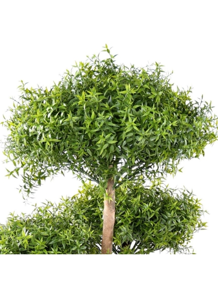 Eucalyptus arbre artificiel tree