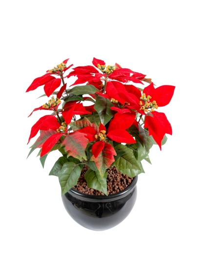 Poinsétia artificiel