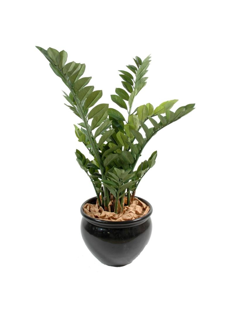Zamia artificiel 90 cm