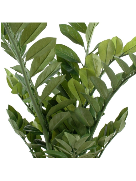 Zamia artificiel 90 cm