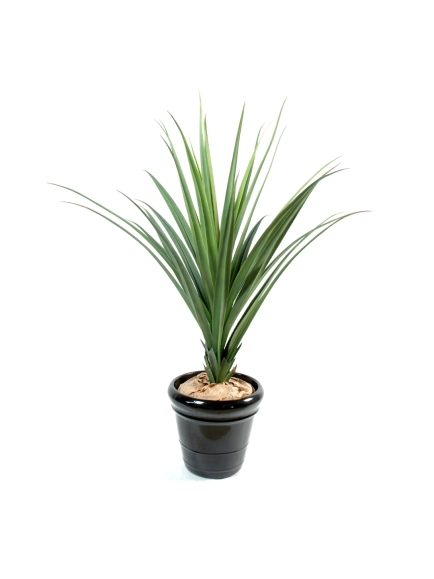 PANDANUS ARRTIFICIEL