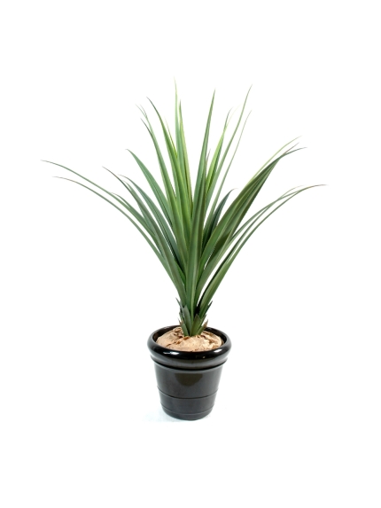PANDANUS ARRTIFICIEL