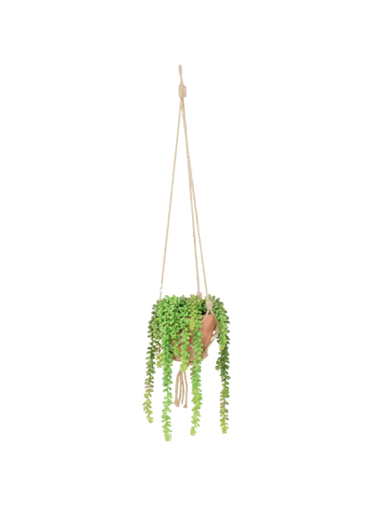 Crassula artificiel avec son macramé