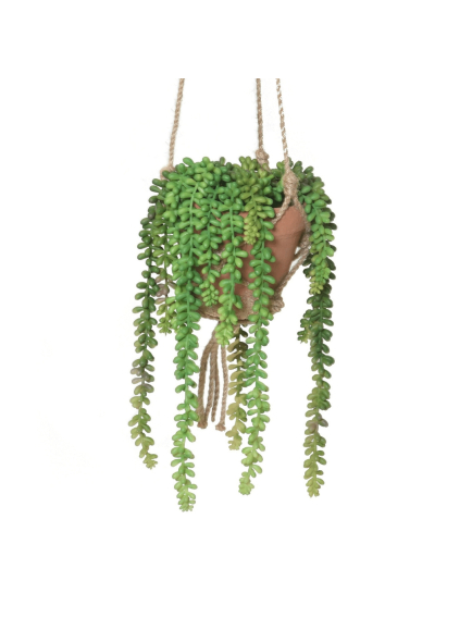 Crassula artificiel avec son macramé