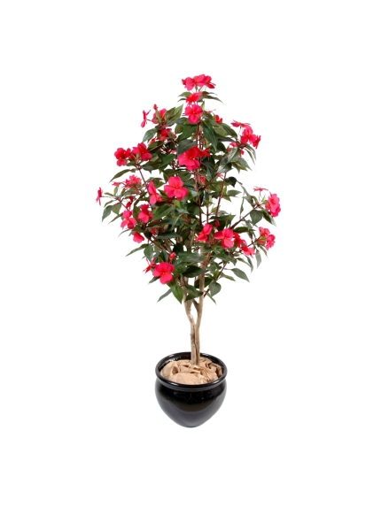 IMPATIENS ARTIFICIELLE