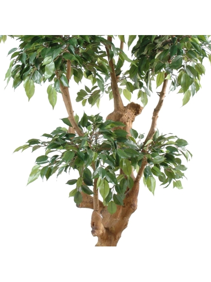 Ficus artificiel Natasja 5 têtes