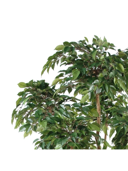 Ficus artificiel Natasja 5 têtes