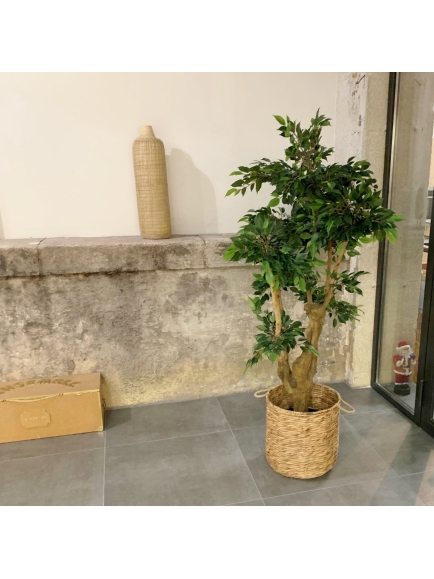 Ficus artificiel Natasja 5 têtes