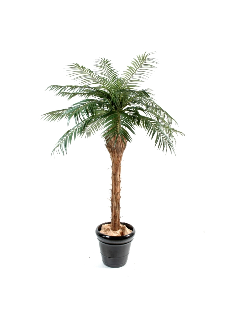 Phoénix artificiel 150 cm