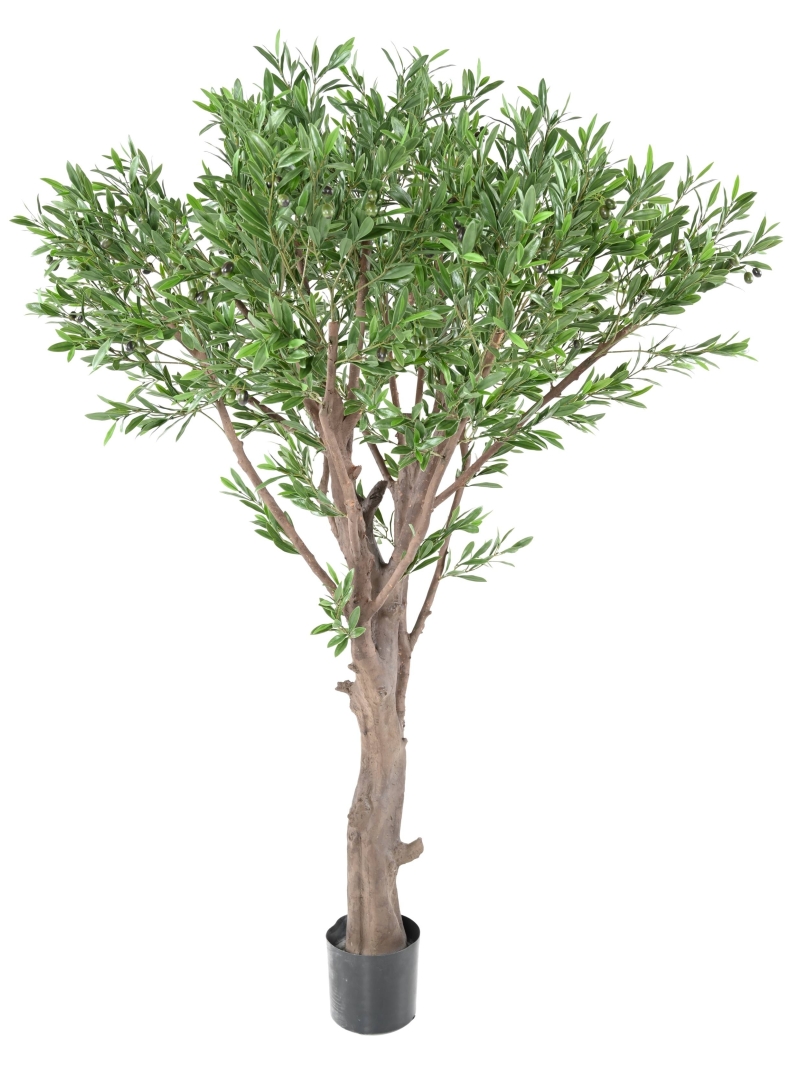 OLIVIER ARTIFICIEL GEANT PLAST UV 185 CM