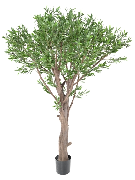 OLIVIER ARTIFICIEL GEANT PLAST UV 185 CM