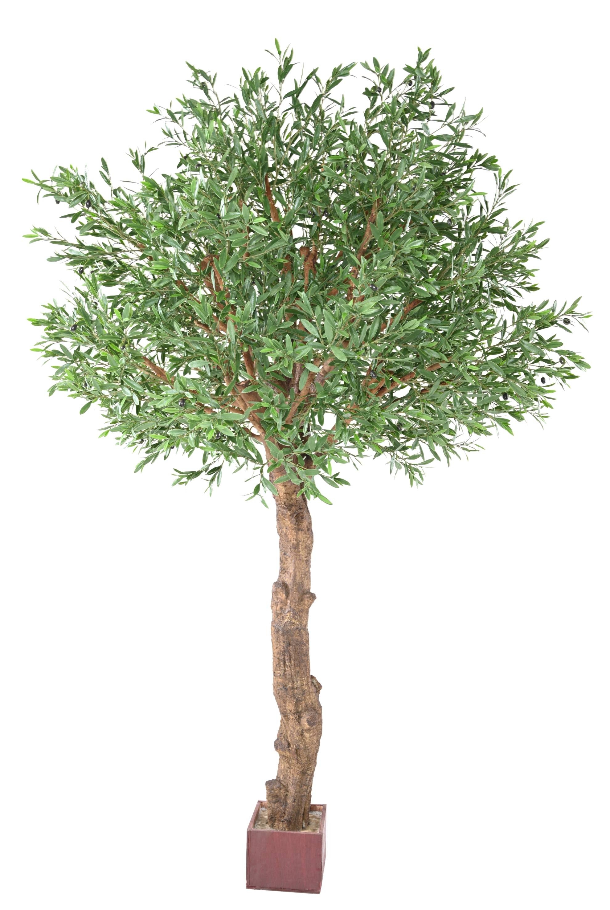 Arbre artificiel Olivier tête large PLAST UV - décoration pour extérieur - H.210cm