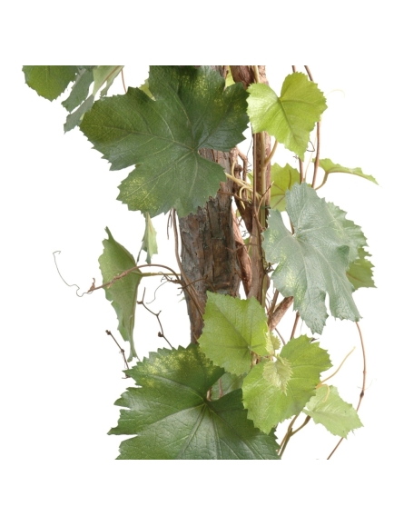 Vigne Round Artificielle - Hauteur 200 cm - Tronc bois