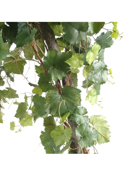 Vigne Round Artificielle - Hauteur 200 cm - Tronc bois
