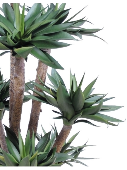 AGAVE ARTIFICIELLE 9 TETES