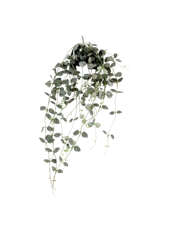 Chute de Ceropegia artificielle 60 cm