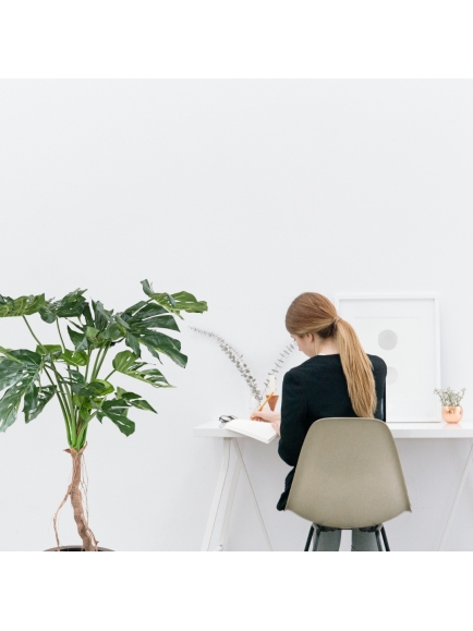 PHILODENDRON ARTIFICIEL MONSTERA