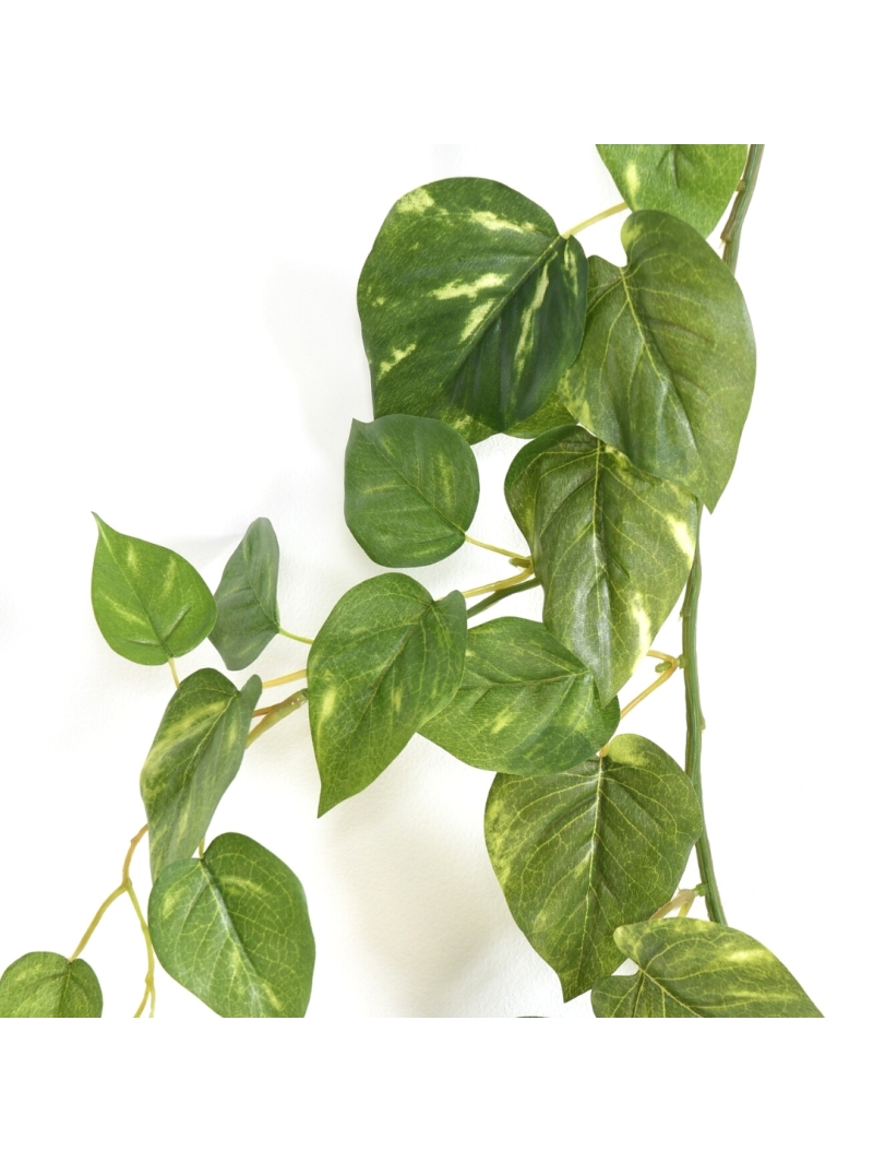 Guirlande de Pothos artificiel 180 cm