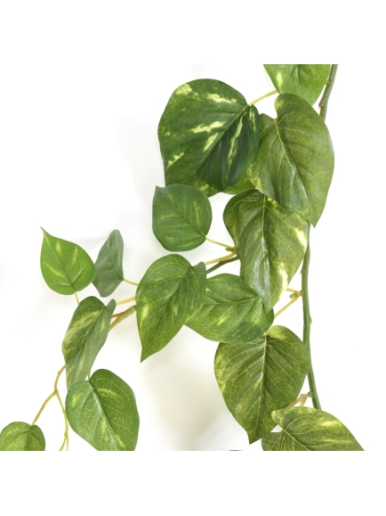 Guirlande de Pothos artificiel 180 cm