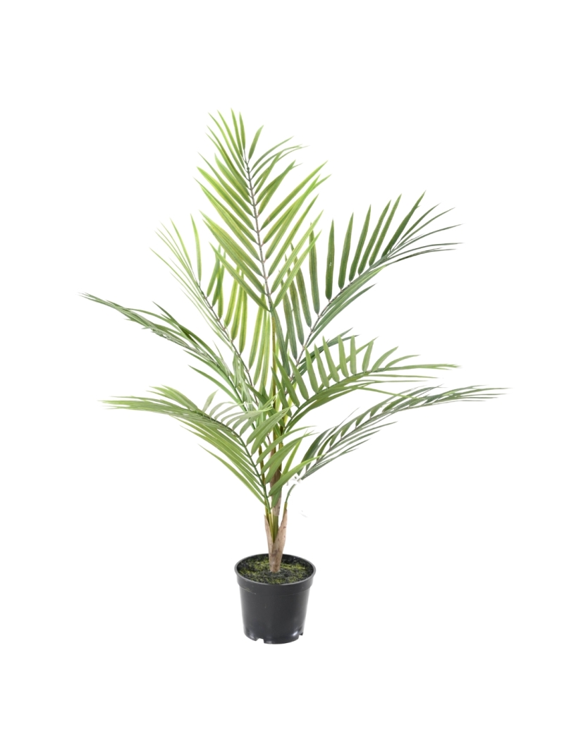 ARECA ARTIFICIEL