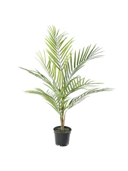 ARECA ARTIFICIEL