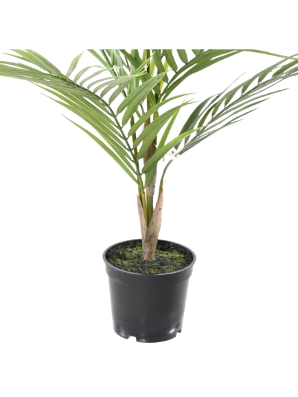 ARECA ARTIFICIEL