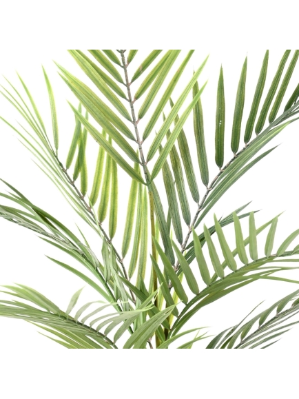 ARECA ARTIFICIEL