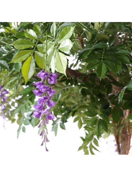 GLYCINE ARBRE ARTIFICIEL ROUND