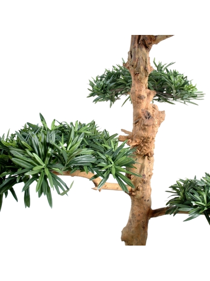 Podocarpus artificiel nuage large