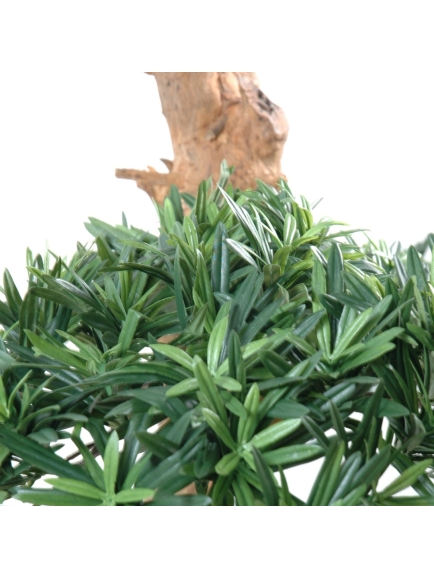 Podocarpus artificiel nuage large